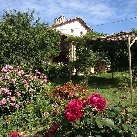 Casa Isabella Pensionat Vaglio Serra Exteriör bild