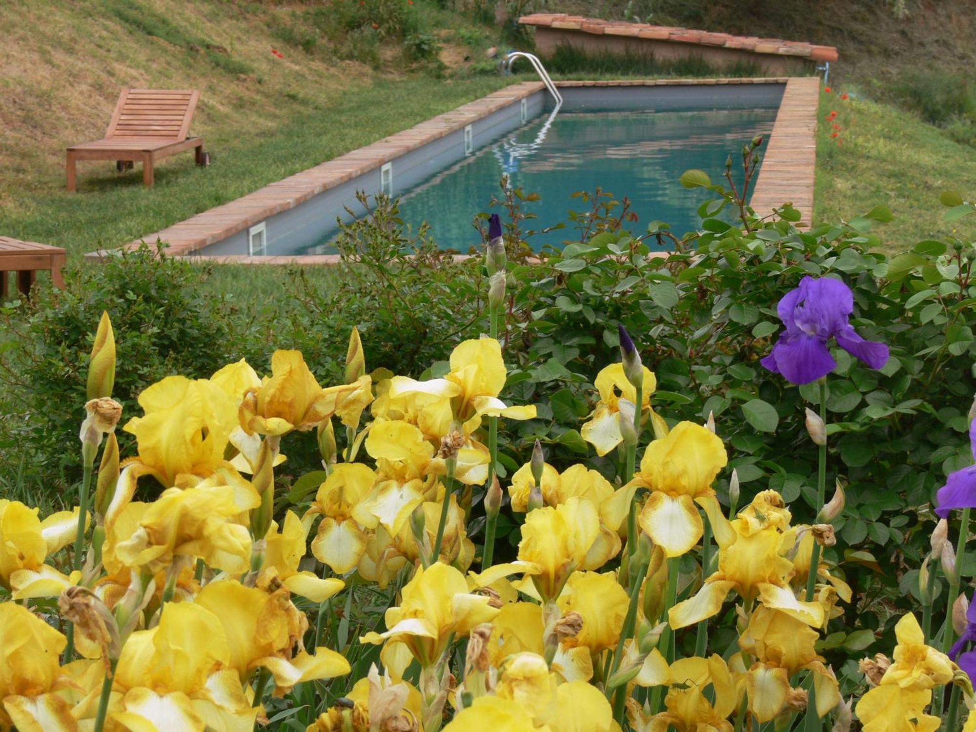 Casa Isabella Pensionat Vaglio Serra Exteriör bild