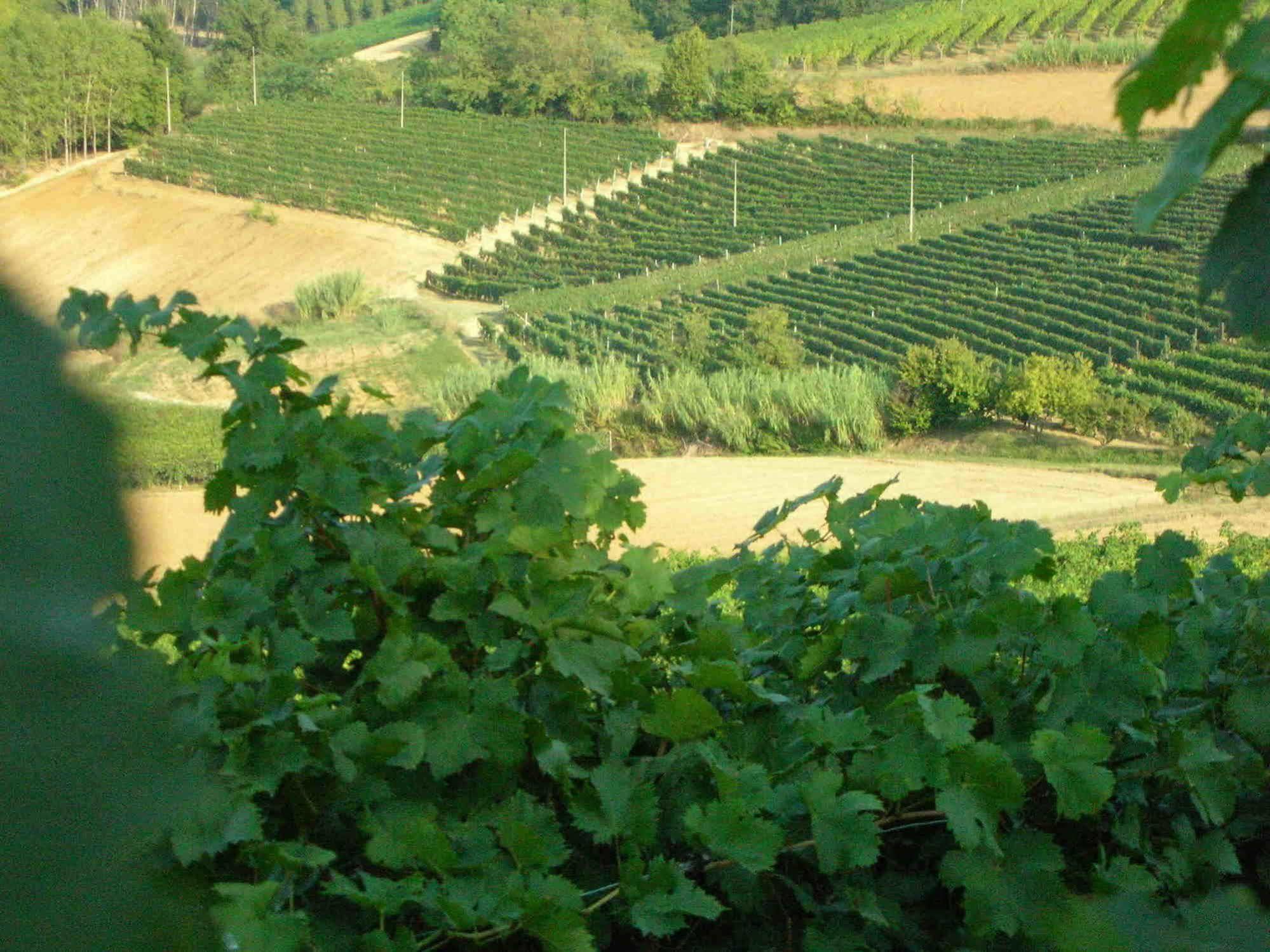 Casa Isabella Pensionat Vaglio Serra Exteriör bild